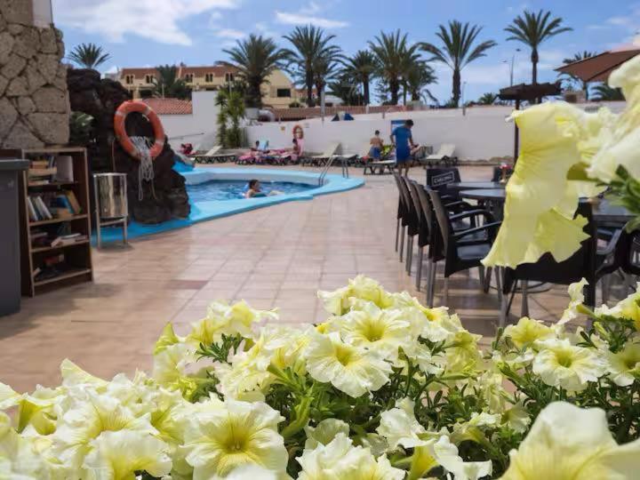 Apartment In Playa De Las Americas 1 Εξωτερικό φωτογραφία